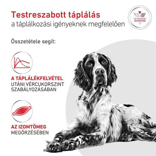 Royal Canin Glycobalance - Konzerv  410 g