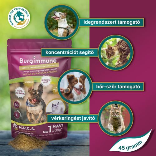 Burgimmune prémium immunerősítő kombináció - 30 napra  45 g