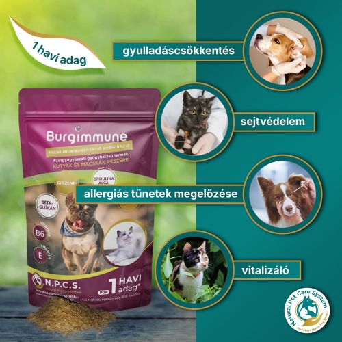 Burgimmune prémium immunerősítő kombináció - 30 napra  45 g