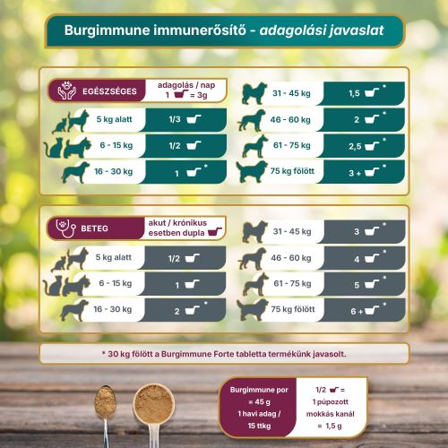 Burgimmune prémium immunerősítő kombináció - 30 napra  45 g