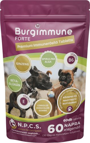 Burgimmune Forte prémium immunerősítő tabletta 60 napra  60 tabletta