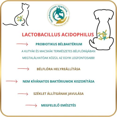 N.P.C.S. Multivitamin macskák számára  45 g