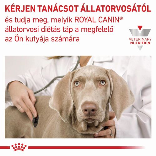 Royal Canin Renal alutasakos kutyaeledel 12 x  100 g