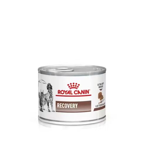 Royal Canin Recovery - Konzerv 12 x  85 g