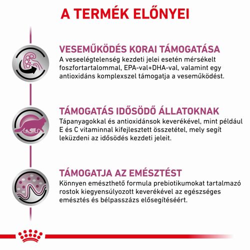 Royal Canin Feline Early Renal - Alutasakos 12 x  85 g