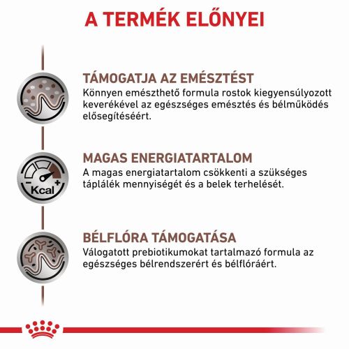 Royal Canin Feline Gastrointestinal Wet - Alutasakos 12 x  85 g