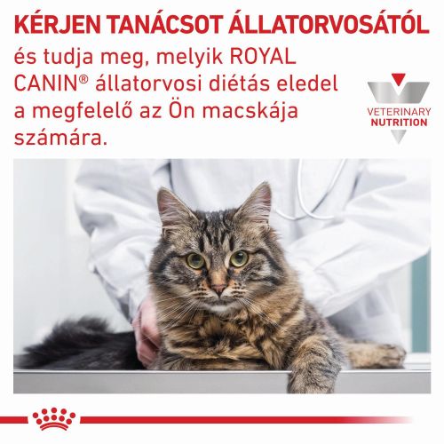 Royal Canin Feline Gastrointestinal Wet - Alutasakos 12 x  85 g