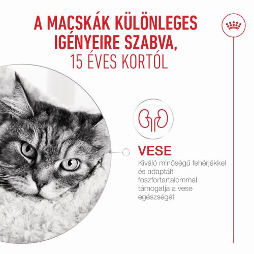 Royal Canin Ageing 15+ - szószos nedves táp idős macskák számára 12 x  85 g