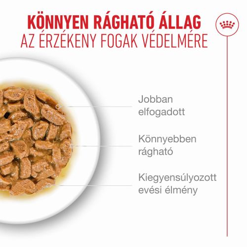 Royal Canin Ageing 15+ - szószos nedves táp idős macskák számára 12 x  85 g