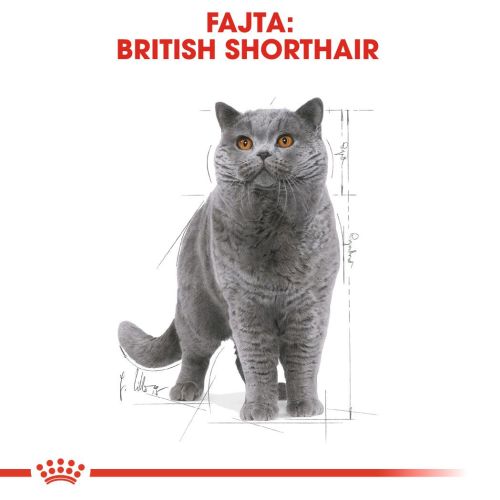 Royal Canin British Shorthair Adult - Brit rövidszőrű felnőtt macska nedves táp 12 x  85 g