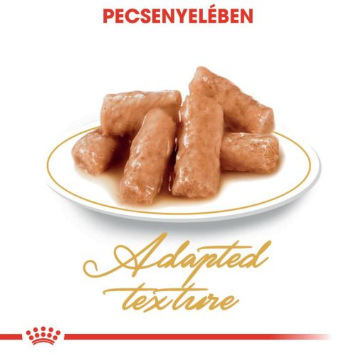 Royal Canin British Shorthair Adult - Brit rövidszőrű felnőtt macska nedves táp 12 x  85 g