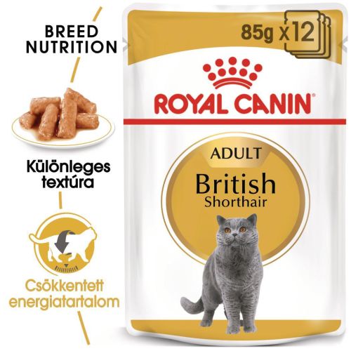 Royal Canin British Shorthair Adult - Brit rövidszőrű felnőtt macska nedves táp 12 x  85 g