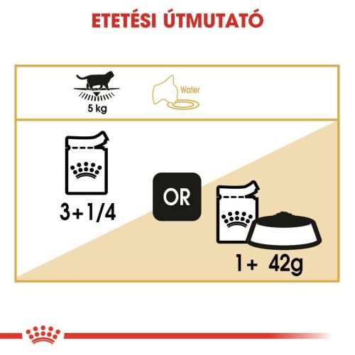 Royal Canin British Shorthair Adult - Brit rövidszőrű felnőtt macska nedves táp 12 x  85 g