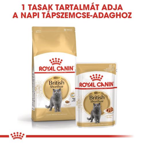 Royal Canin British Shorthair Adult - Brit rövidszőrű felnőtt macska nedves táp 12 x  85 g