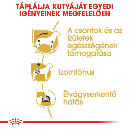 Royal Canin Dachshund Adult - Tacskó felnőtt kutya nedves táp 12 x  85 g