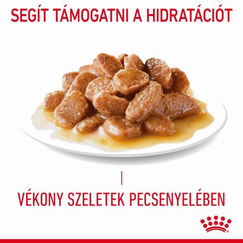 Royal Canin Digestive Care - szószos nedves táp érzékeny emésztésű felnőtt macskák részére 12 x  85 g