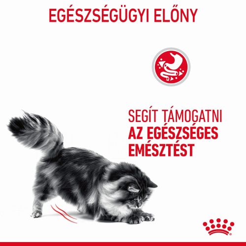 Royal Canin Digestive Care - szószos nedves táp érzékeny emésztésű felnőtt macskák részére 12 x  85 g