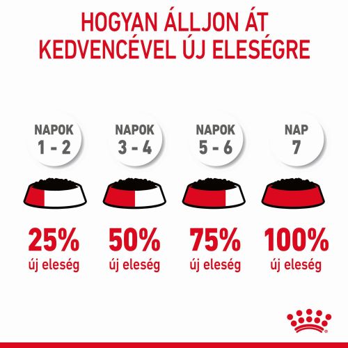 Royal Canin Digestive Care - szószos nedves táp érzékeny emésztésű felnőtt macskák részére 12 x  85 g