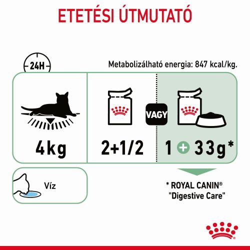 Royal Canin Digestive Care - szószos nedves táp érzékeny emésztésű felnőtt macskák részére 12 x  85 g