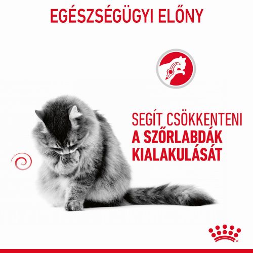 Royal Canin Hairball Care - szószos nedves táp felnőtt macskák részére a szőrlabdák könnyebb eltávozásáért 12 x  85 g