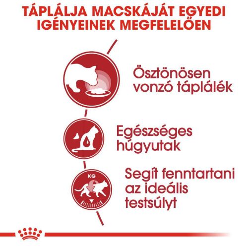 Royal Canin Instinctive Jelly - felnőtt macska zselés nedves táp 12 x  85 g