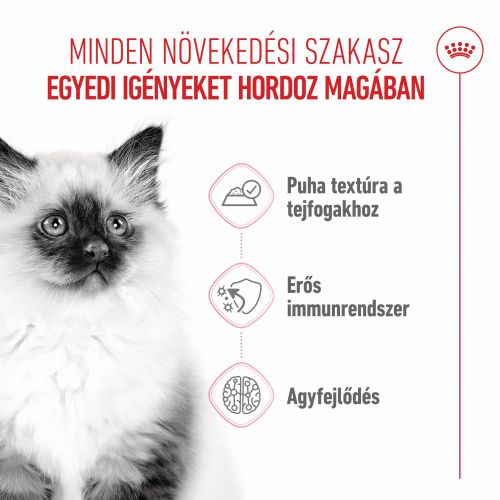 Royal Canin Kitten Gravy - szószos nedvestáp kölyök macska szószos nedves táp 12 x  85 g