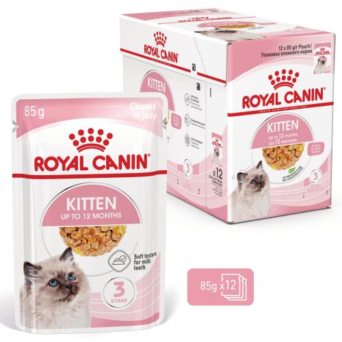 Royal Canin Kitten Jelly - kölyök macska zselés nedves táp 12 x  85 g