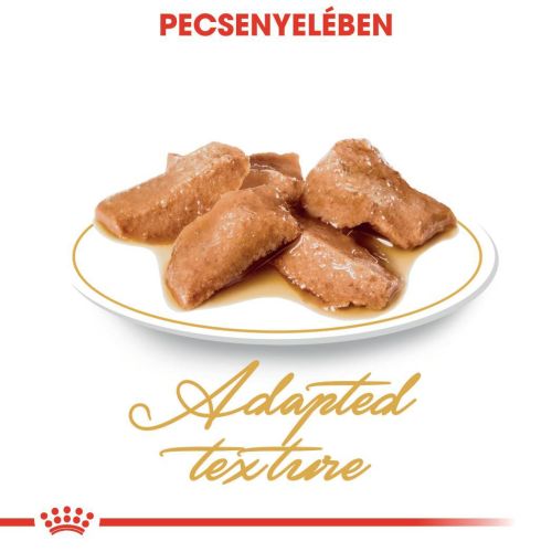 Royal Canin Maine Coon Adult - Maine Coon felnőtt macska nedves táp 12 x  85 g