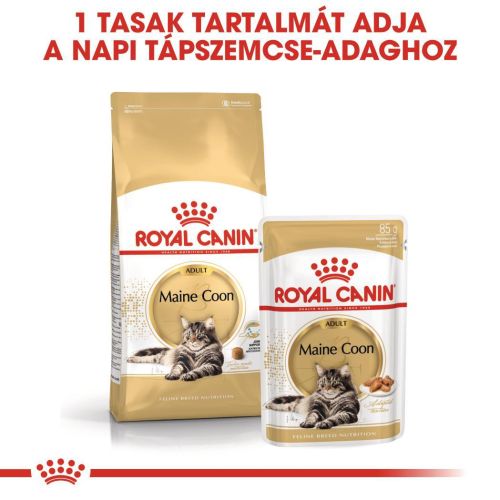 Royal Canin Maine Coon Adult - Maine Coon felnőtt macska nedves táp 12 x  85 g