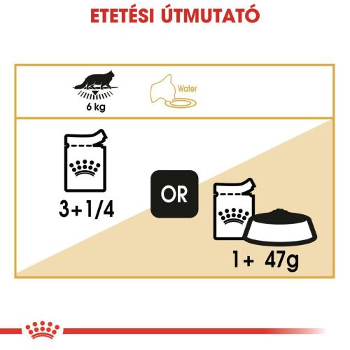 Royal Canin Maine Coon Adult - Maine Coon felnőtt macska nedves táp 12 x  85 g