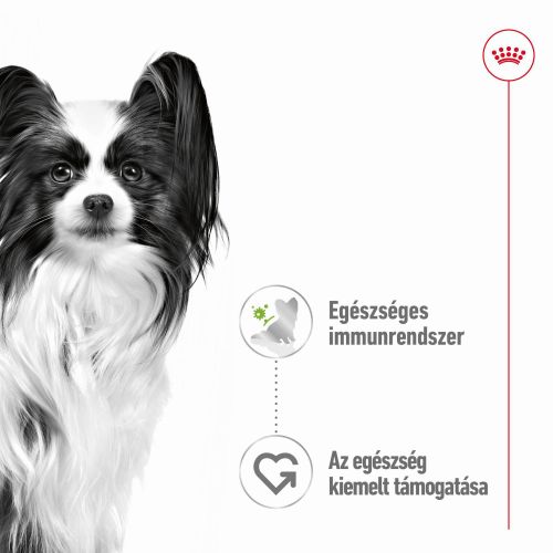 Royal Canin X-Small Adult - alutasakos eledel nagyon kis termetű felnőtt kutyák részére 12 x 85 g