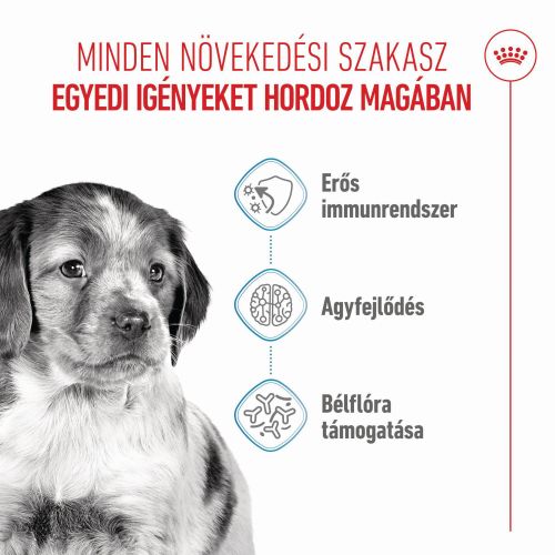 Royal Canin Medium Puppy - közepes testű kölyök kutya száraz táp  1 kg