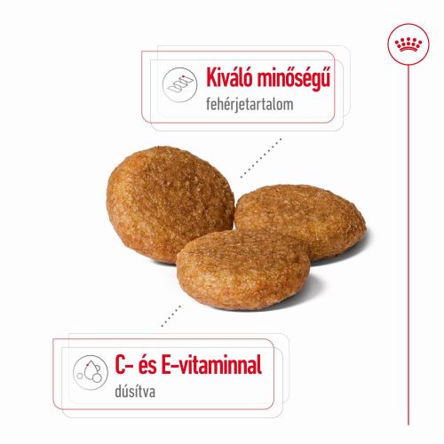 Royal Canin Medium Adult - közepes testű felnőtt kutya száraz táp  15 kg