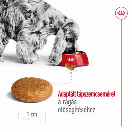 Royal Canin Medium Adult - közepes testű felnőtt kutya száraz táp  15 kg