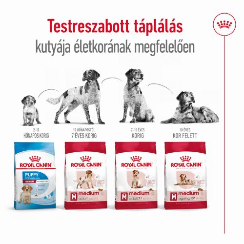 Royal Canin Medium Adult - közepes testű felnőtt kutya száraz táp 15 kg