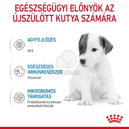 Royal Canin Babydog Milk - Tejpótló tápszer kölyökkutyáknak  400 g