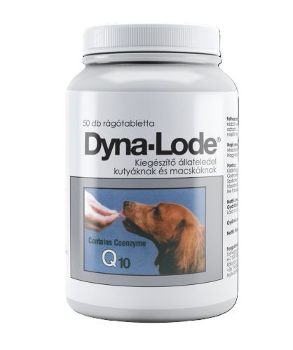 Dyna-Lode rágótabletta  50 tabletta