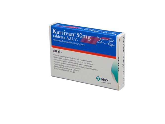 Karsivan tabletta idősödő kutyáknak  60 db