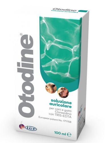 Otodine oldat  100 ml