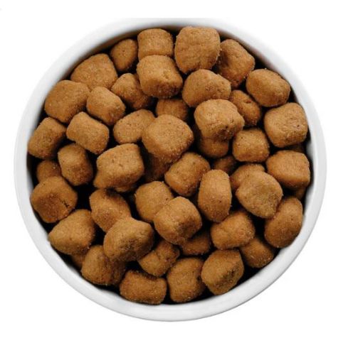 Hill's Prescription Diet t/d Mini Dental Care száraz kutyatáp  3 kg