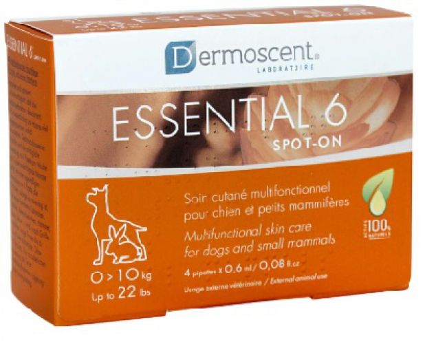 Dermoscent Essential 6 Beauty Szérum kutyáknak 4 x  0.6 ml