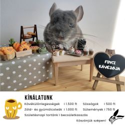 Együtt a Kisállatokért Alapítvány