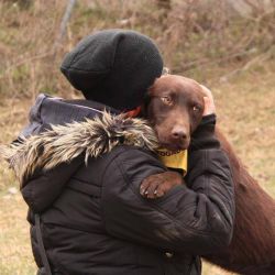 Retriever Rescue Fajtamentő Egyesület