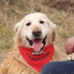 Retriever Rescue Fajtamentő Egyesület
