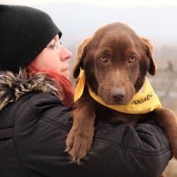 Retriever Rescue Fajtamentő Egyesület
