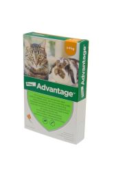 Advantage rácsepegtető oldat kistestű macskáknak és nyulaknak  4 db