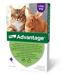 Advantage rácsepegtető oldat nagytestű macskáknak és nyulaknak 4 x  0.8 ml