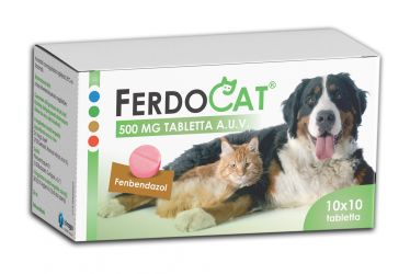 Ferdocat 500 mg tabletta  100 db