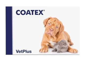 Coatex kapszula  60 db