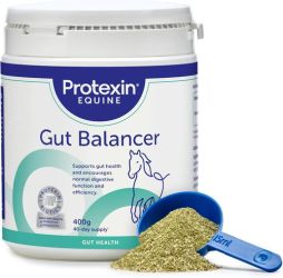 Protexin Gut Balancer  400 g